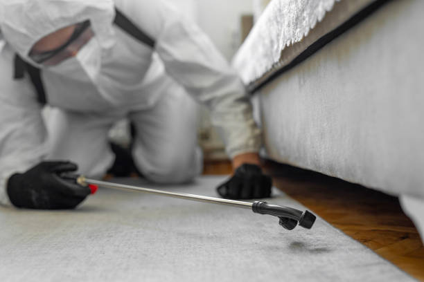 Professional Termite Control technician working in Wedgefield, SC