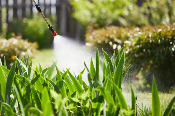 24/7 Emergency Termite Control experts in Wedgefield, SC