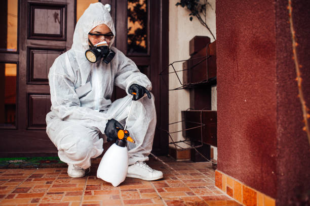 Reliable Termite Control contractor in Wedgefield, SC by Nex Pest Control